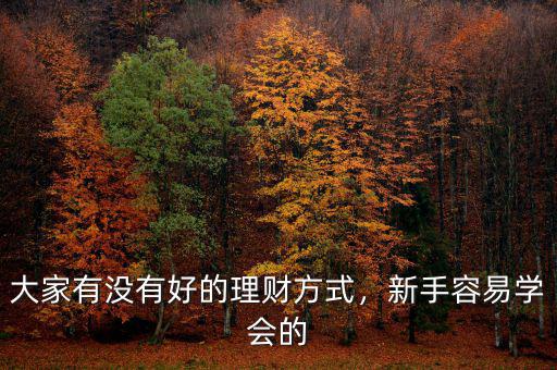 大家有沒有好的理財(cái)方式，新手容易學(xué)會(huì)的