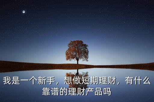 我是一個(gè)新手，想做短期理財(cái)，有什么靠譜的理財(cái)產(chǎn)品嗎