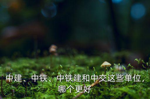 中建、中鐵、中鐵建和中交這些單位，哪個(gè)更好