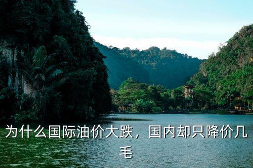 為什么國(guó)際油價(jià)大跌，國(guó)內(nèi)卻只降價(jià)幾毛