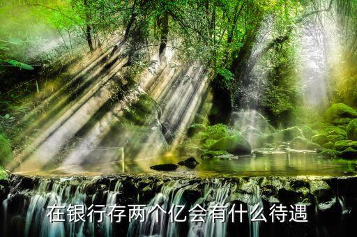 在銀行存兩個(gè)億會有什么待遇