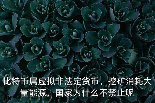 比特幣屬虛擬非法定貨幣，挖礦消耗大量能源，國(guó)家為什么不禁止呢
