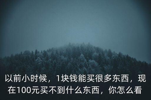 以前小時(shí)候，1塊錢能買很多東西，現(xiàn)在100元買不到什么東西，你怎么看
