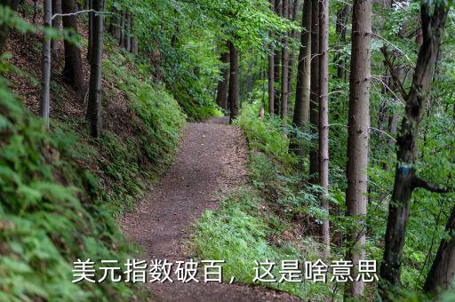 美元指數(shù)破百，這是啥意思