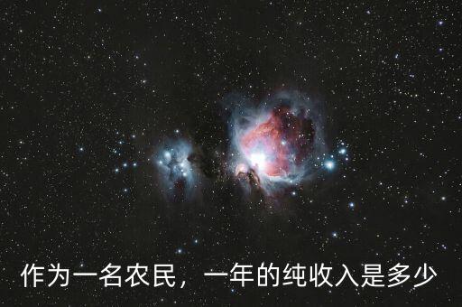 作為一名農(nóng)民，一年的純收入是多少