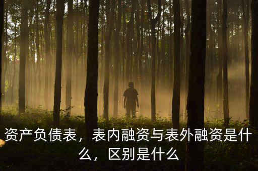 資產(chǎn)負(fù)債表，表內(nèi)融資與表外融資是什么，區(qū)別是什么