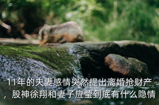 11年的夫妻感情突然提出離婚搶財產(chǎn)，股神徐翔和妻子應(yīng)瑩到底有什么隱情