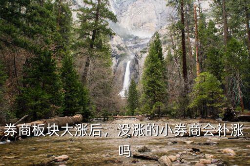 券商板塊大漲后，沒漲的小券商會補漲嗎