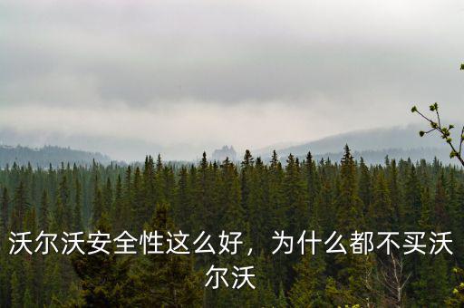 沃爾沃安全性這么好，為什么都不買沃爾沃