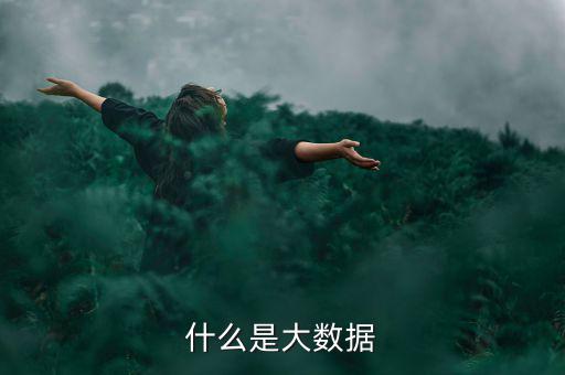 什么是大數據