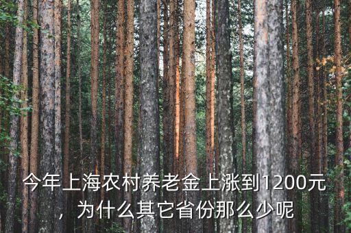 今年上海農村養(yǎng)老金上漲到1200元，為什么其它省份那么少呢