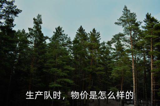 生產(chǎn)隊(duì)時(shí)，物價(jià)是怎么樣的