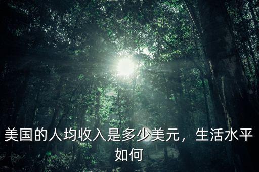 美國的人均收入是多少美元，生活水平如何