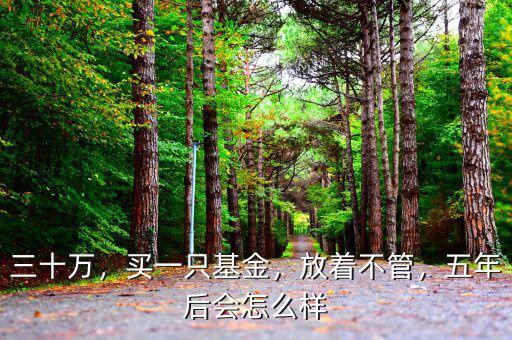 三十萬，買一只基金，放著不管，五年后會怎么樣
