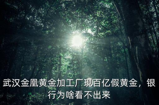 武漢金凰黃金加工廠現(xiàn)百億假黃金，銀行為啥看不出來