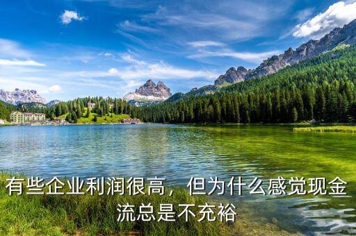 有些企業(yè)利潤很高，但為什么感覺現(xiàn)金流總是不充裕