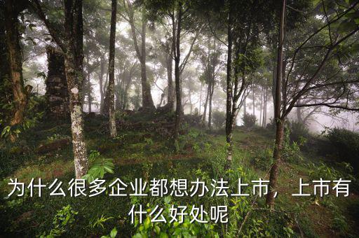 為什么很多企業(yè)都想辦法上市，上市有什么好處呢