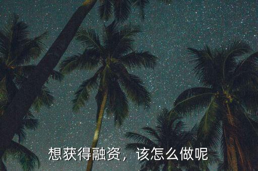 想獲得融資，該怎么做呢