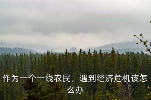 作為一個(gè)一線農(nóng)民，遇到經(jīng)濟(jì)危機(jī)該怎么辦