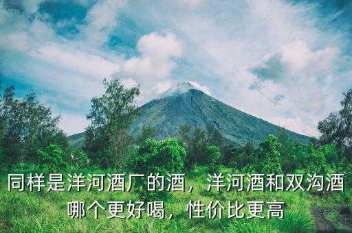 同樣是洋河酒廠的酒，洋河酒和雙溝酒哪個(gè)更好喝，性價(jià)比更高