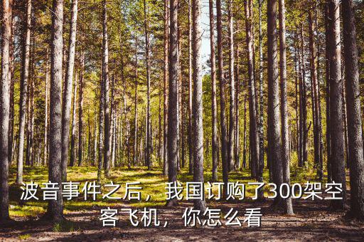 波音事件之后，我國(guó)訂購(gòu)了300架空客飛機(jī)，你怎么看