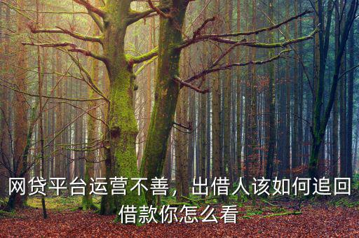 網(wǎng)貸平臺運營不善，出借人該如何追回借款你怎么看