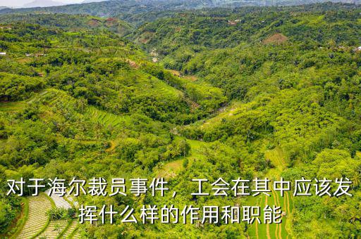 對(duì)于海爾裁員事件，工會(huì)在其中應(yīng)該發(fā)揮什么樣的作用和職能
