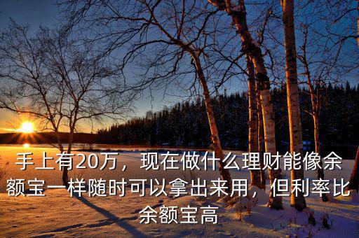 手上有20萬(wàn)，現(xiàn)在做什么理財(cái)能像余額寶一樣隨時(shí)可以拿出來(lái)用，但利率比余額寶高
