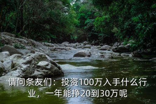 請問條友們：投資100萬入手什么行業(yè)，一年能掙20到30萬呢