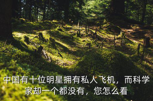 中國(guó)有十位明星擁有私人飛機(jī)，而科學(xué)家卻一個(gè)都沒(méi)有，您怎么看