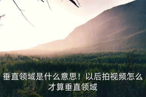 垂直領(lǐng)域是什么意思！以后拍視頻怎么才算垂直領(lǐng)域