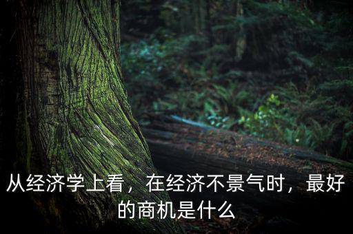 從經(jīng)濟(jì)學(xué)上看，在經(jīng)濟(jì)不景氣時，最好的商機(jī)是什么