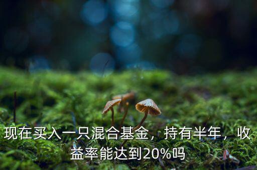現(xiàn)在買入一只混合基金，持有半年，收益率能達到20%嗎