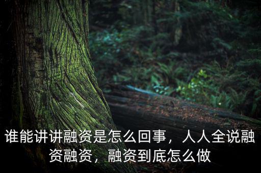 誰能講講融資是怎么回事，人人全說融資融資，融資到底怎么做