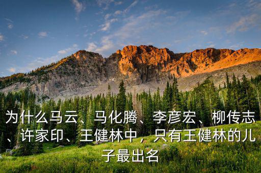 為什么馬云、馬化騰、李彥宏、柳傳志、許家印、王健林中，只有王健林的兒子最出名