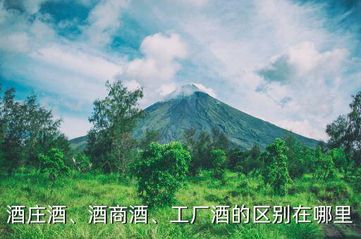 酒莊酒、酒商酒、工廠酒的區(qū)別在哪里