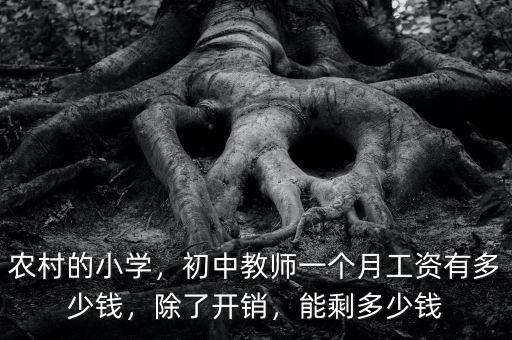 農(nóng)村的小學(xué)，初中教師一個(gè)月工資有多少錢，除了開銷，能剩多少錢