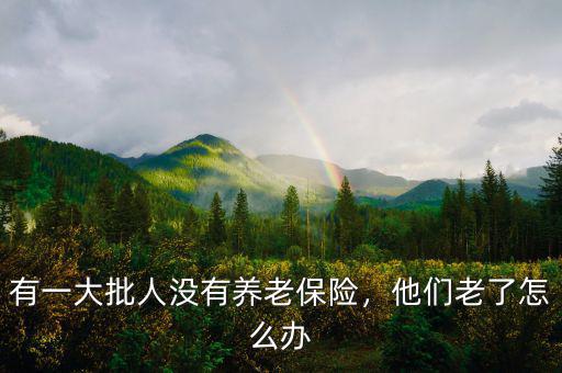 有一大批人沒(méi)有養(yǎng)老保險(xiǎn)，他們老了怎么辦