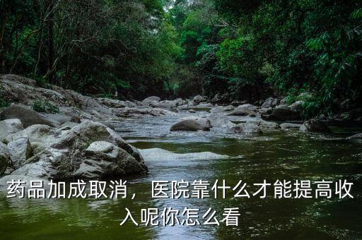 藥品加成取消，醫(yī)院靠什么才能提高收入呢你怎么看