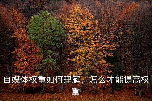 自媒體權(quán)重如何理解，怎么才能提高權(quán)重