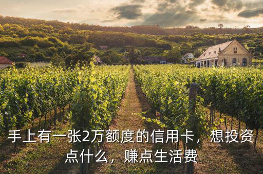 怎么利用信用卡的額度投資賺錢(qián),有20萬(wàn)的信用卡額度
