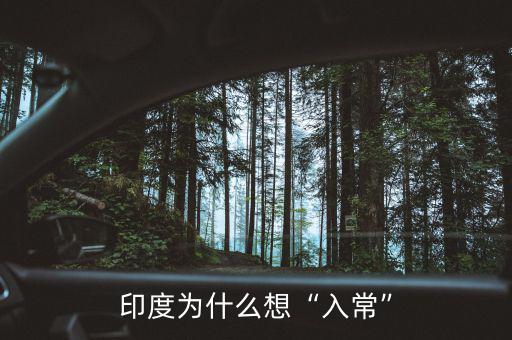 印度為什么想“入?！? class=
