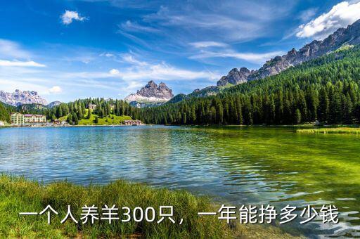 一個(gè)人養(yǎng)羊300只，一年能掙多少錢(qián)