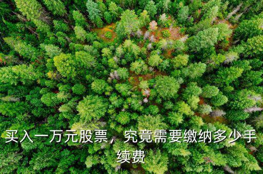 買入一萬元股票，究竟需要繳納多少手續(xù)費