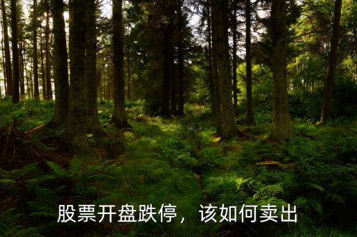 股票開(kāi)盤跌停，該如何賣出