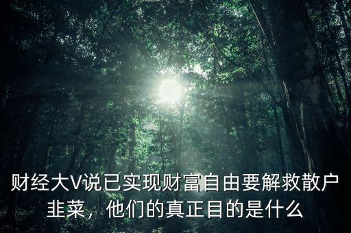 財經(jīng)大V說已實現(xiàn)財富自由要解救散戶韭菜，他們的真正目的是什么