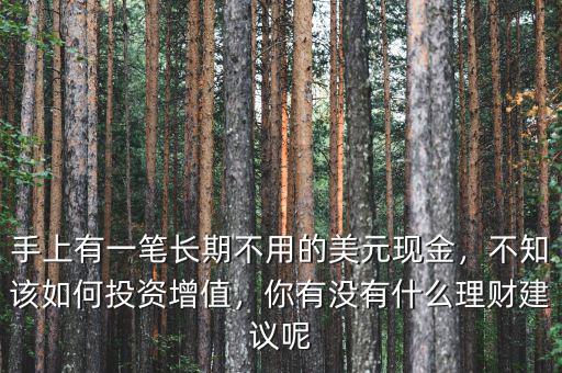 手上有一筆長(zhǎng)期不用的美元現(xiàn)金，不知該如何投資增值，你有沒(méi)有什么理財(cái)建議呢
