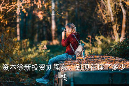 資本徐新投資劉強東，到現(xiàn)在掙了多少錢