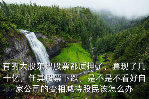 有的大股東把股票都質(zhì)押了，套現(xiàn)了幾十億，任其股票下跌，是不是不看好自家公司的變相減持股民該怎么辦