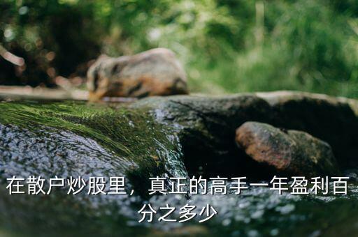 在散戶炒股里，真正的高手一年盈利百分之多少